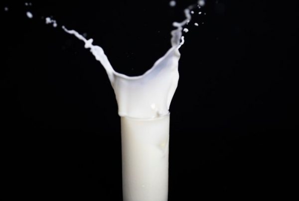How basic food safety is applied to raw milk from farms Blog