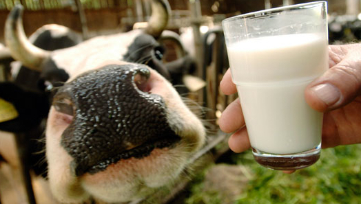 Food Safety applied to raw milk on farms