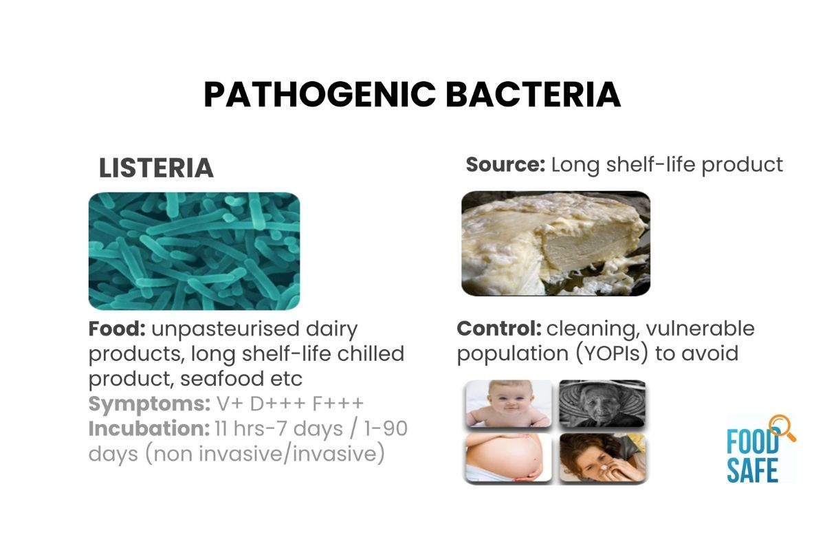 Listeria Guidance – Food Safety Training