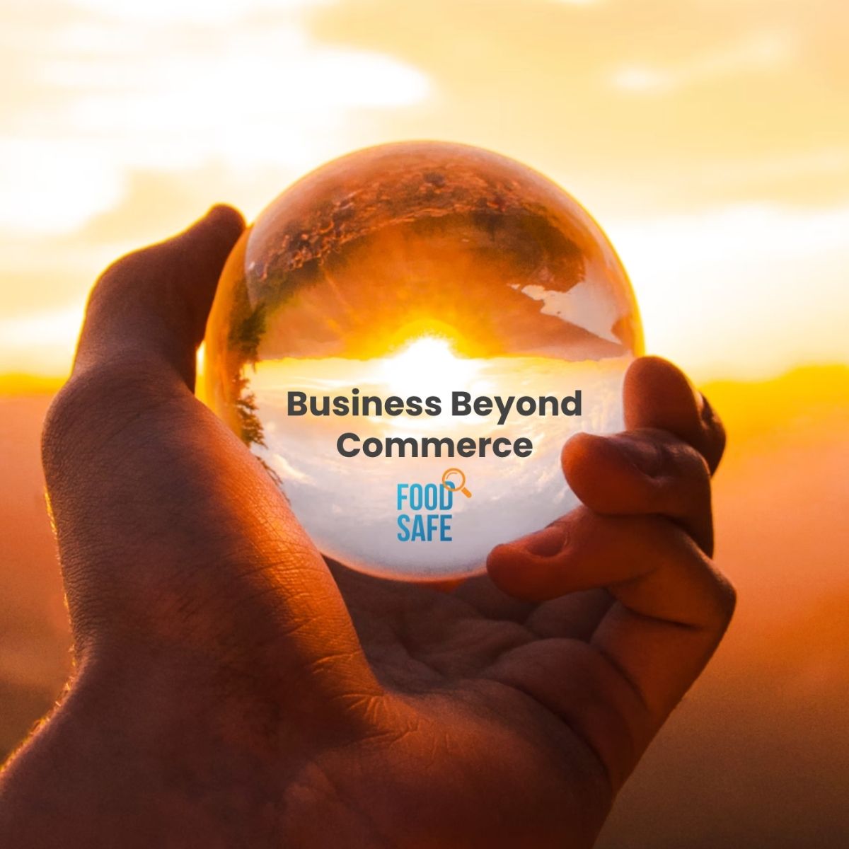 Food Safe's Business Beyond Commerce (Sustainability) Journey – Food ...