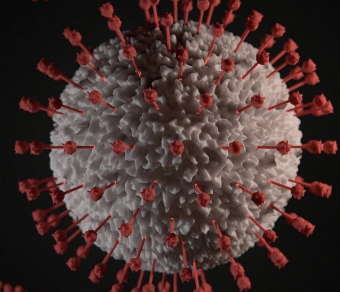 Coronavirus (2019-nCoV)