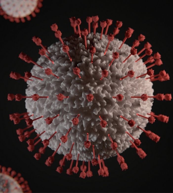 Coronavirus (2019-nCoV)