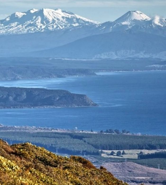 Food Safety Certificate Taupo