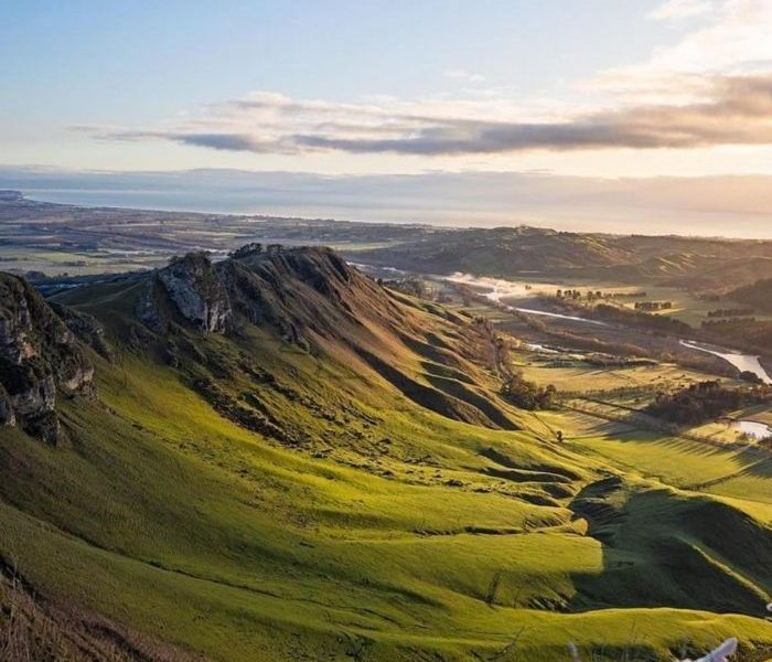 Food Safety Certificate Hawkes Bay