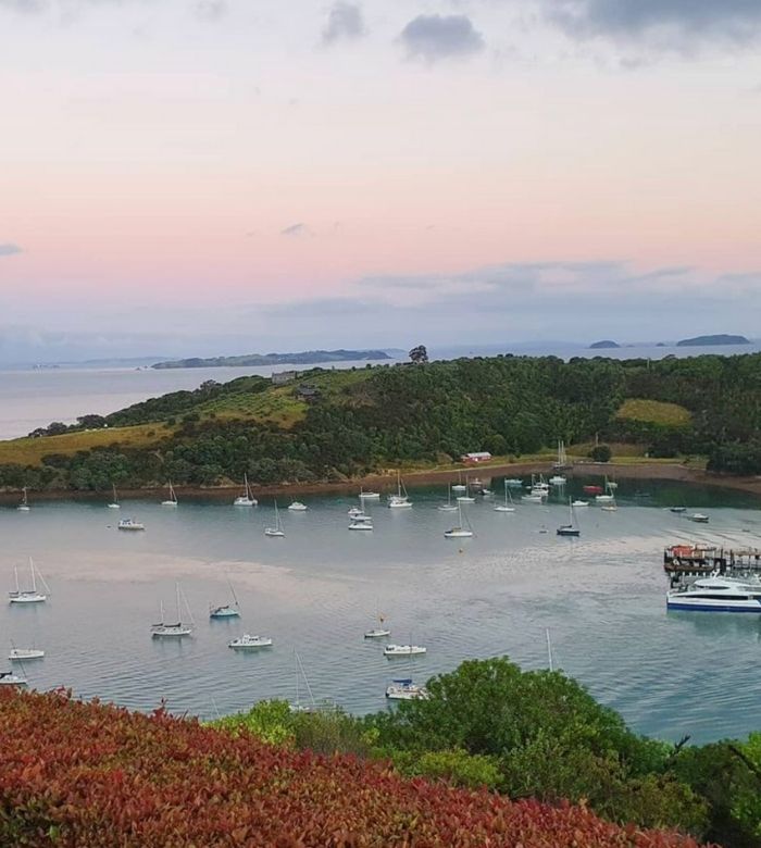 Food Safety Certificate Waiheke