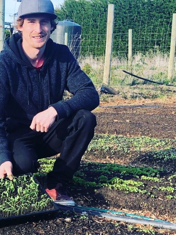 A man certified in Basic Food Safety and Hygiene Certificate Training on an organic farm handling produce and microgreens.