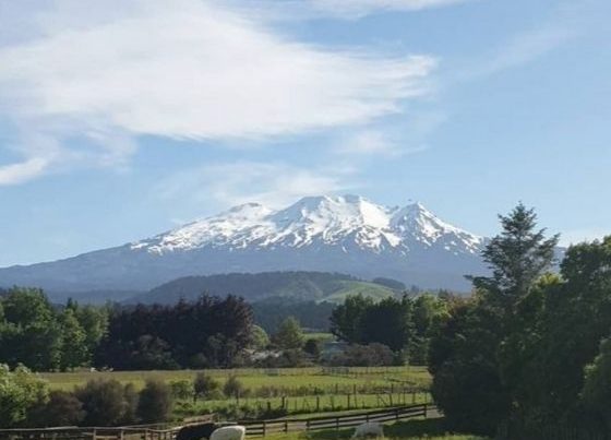 Food Handler Course Ruapehu