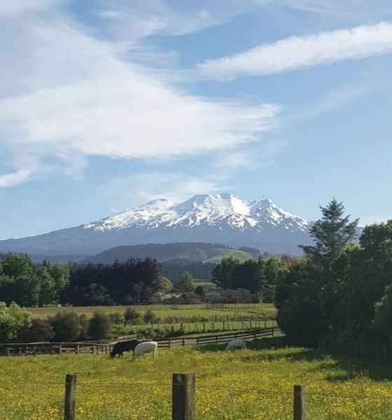 Food Handler Course Ruapehu