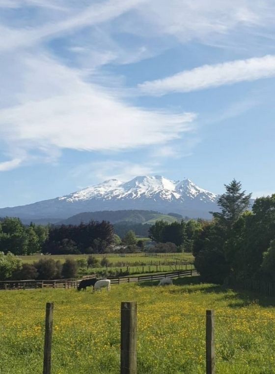 Food Handler Course Ruapehu