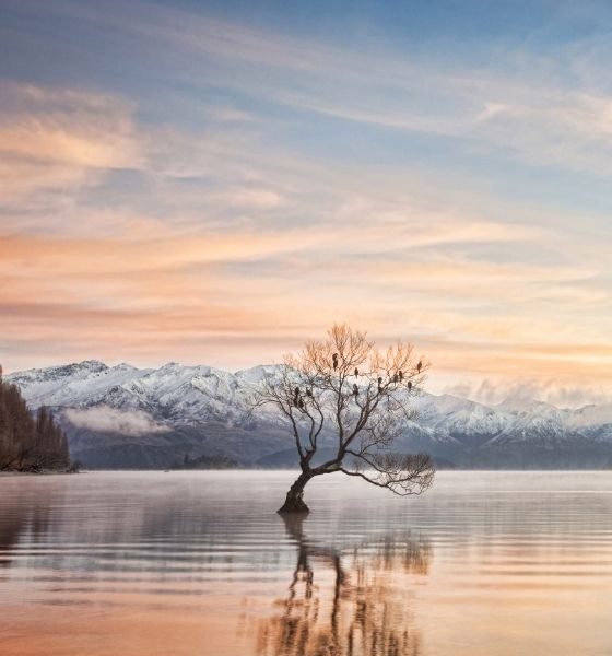 Food Safety Certificate Wanaka