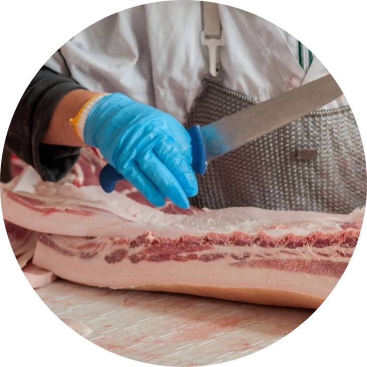 Meat Processing Training