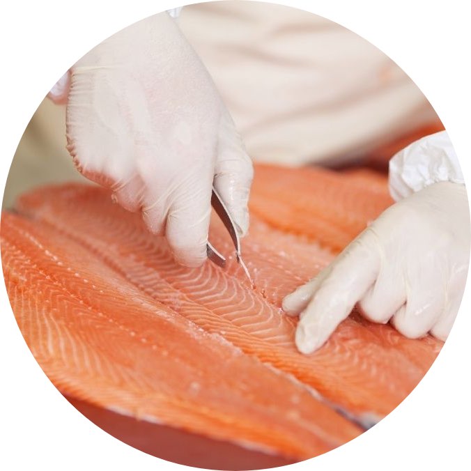 Seafood Processing Training